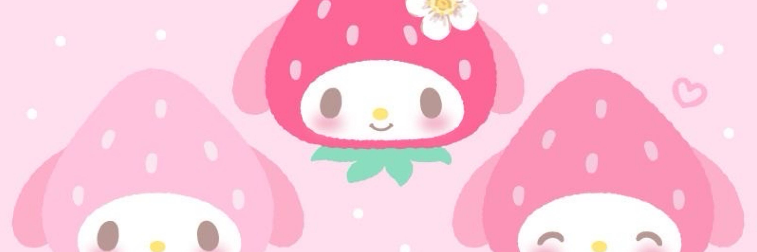 🐱
