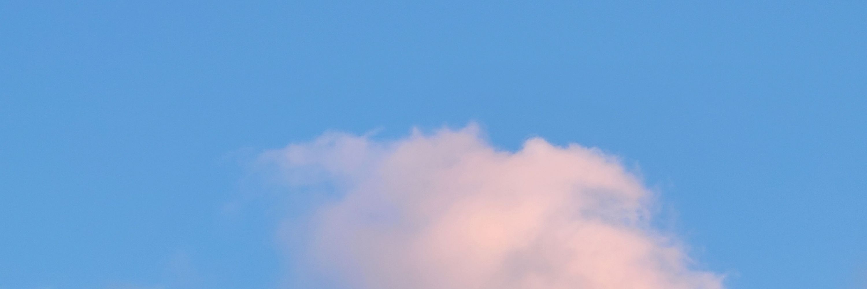 리데