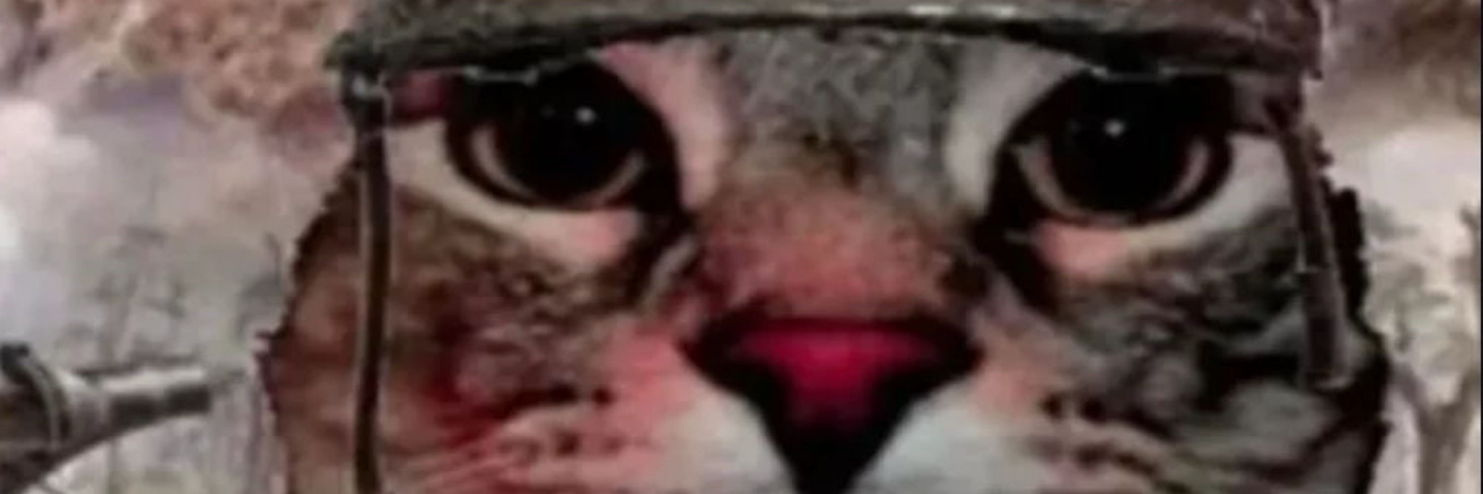 Leonardo 