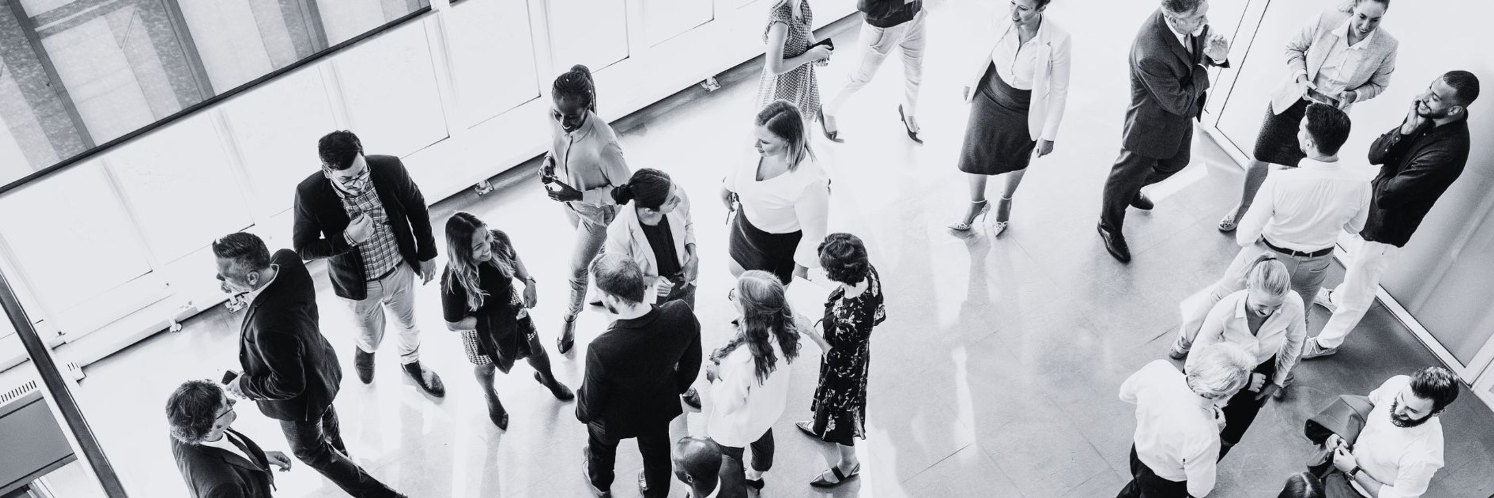 Going Public Akademie