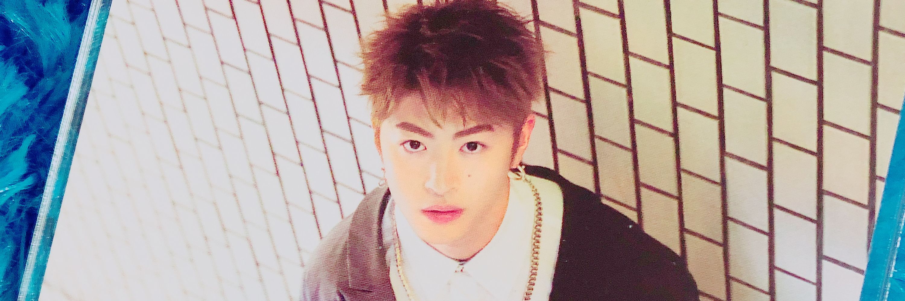 ⋆` 💖 𝙢𝙤𝙘𝙝𝙪. 🐬彡 `⋆