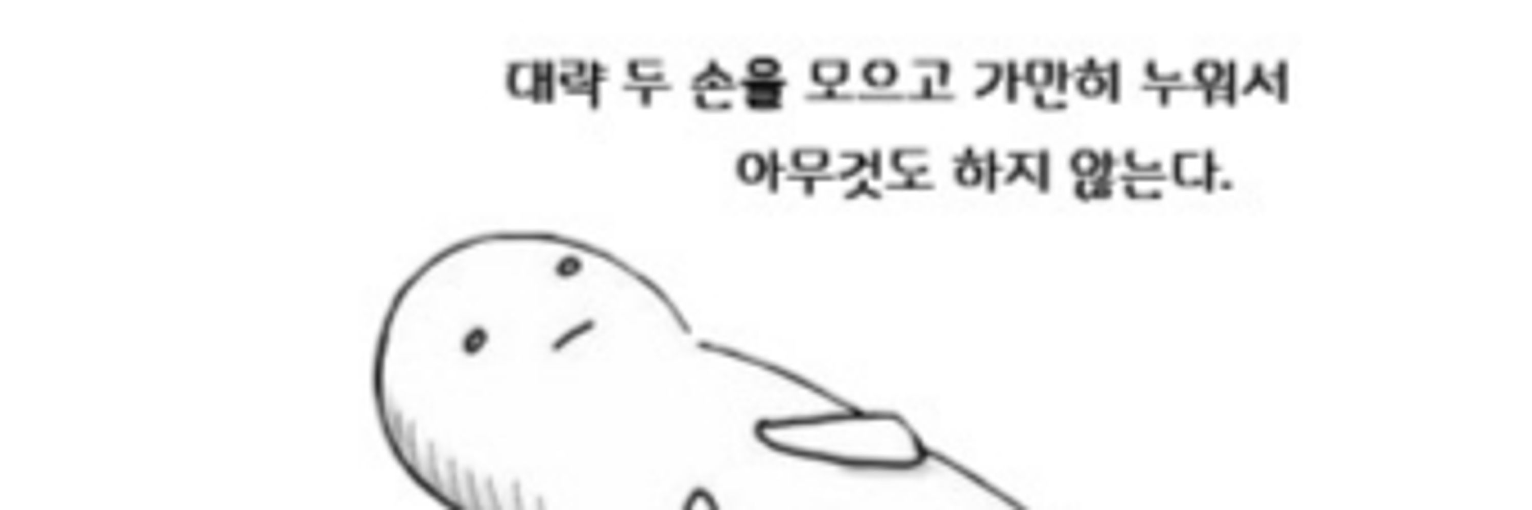 붿붿