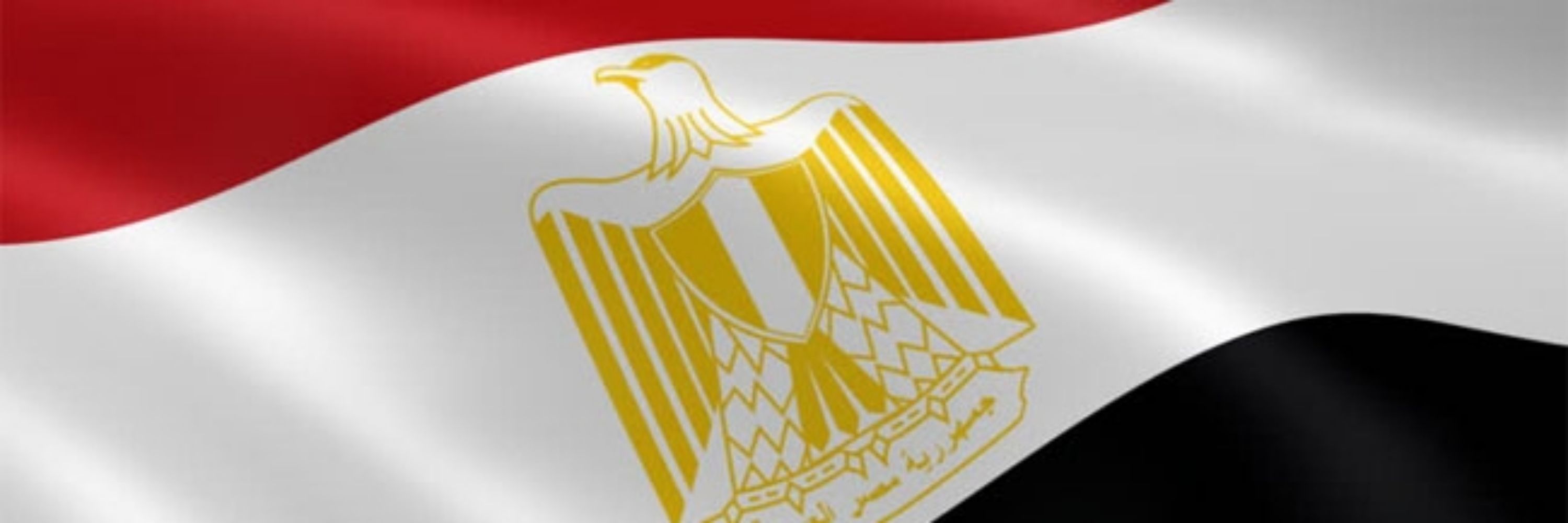 M.🇪🇬