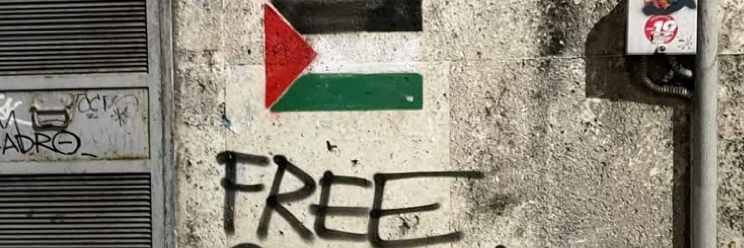 Tarek_Ibraheem (from gaza)🍉🇵🇸