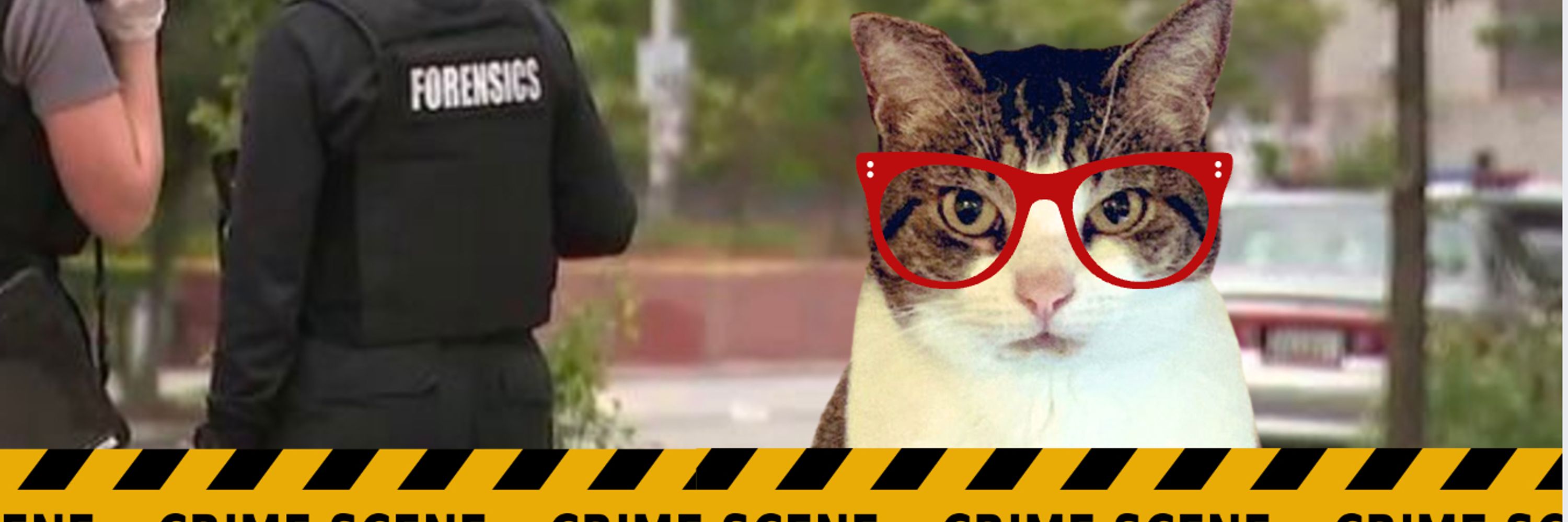 Det. Vera, CSI