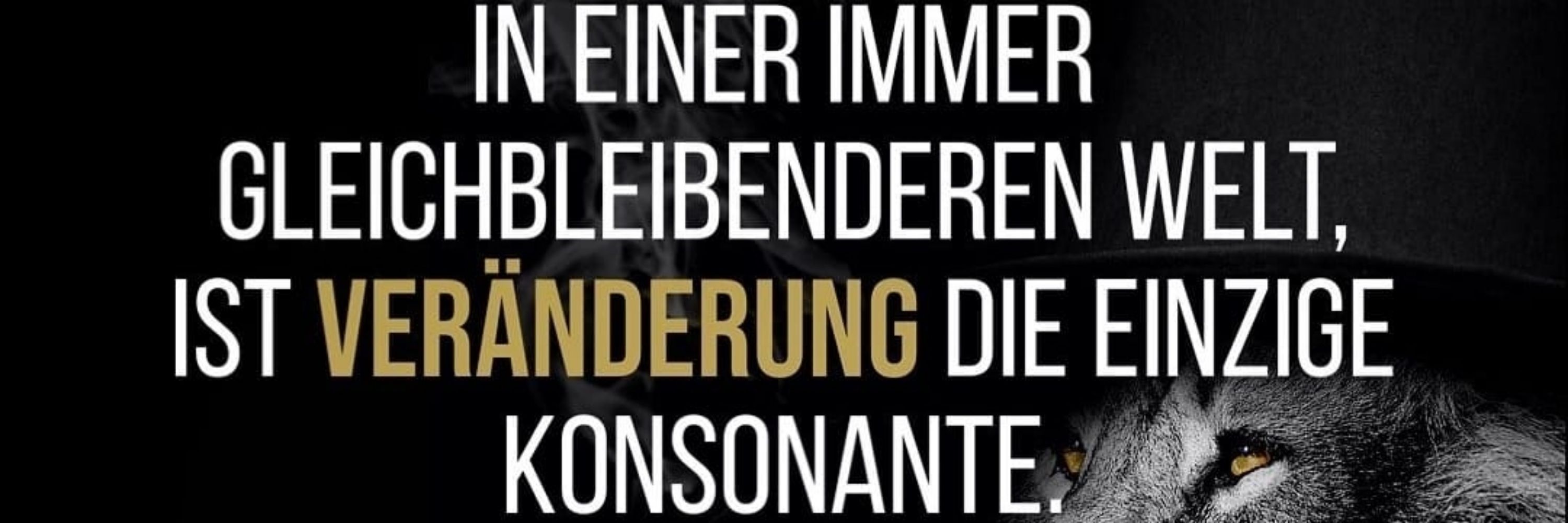 Schupfnudelschlumpf
