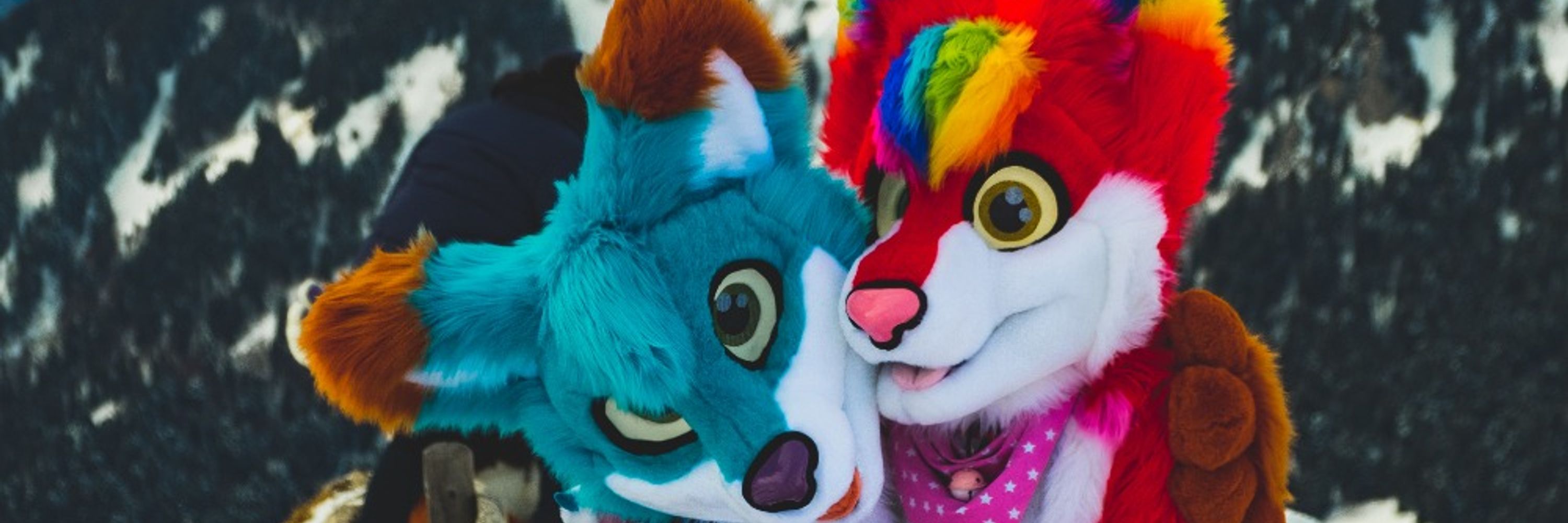 Foxqy The GayLord