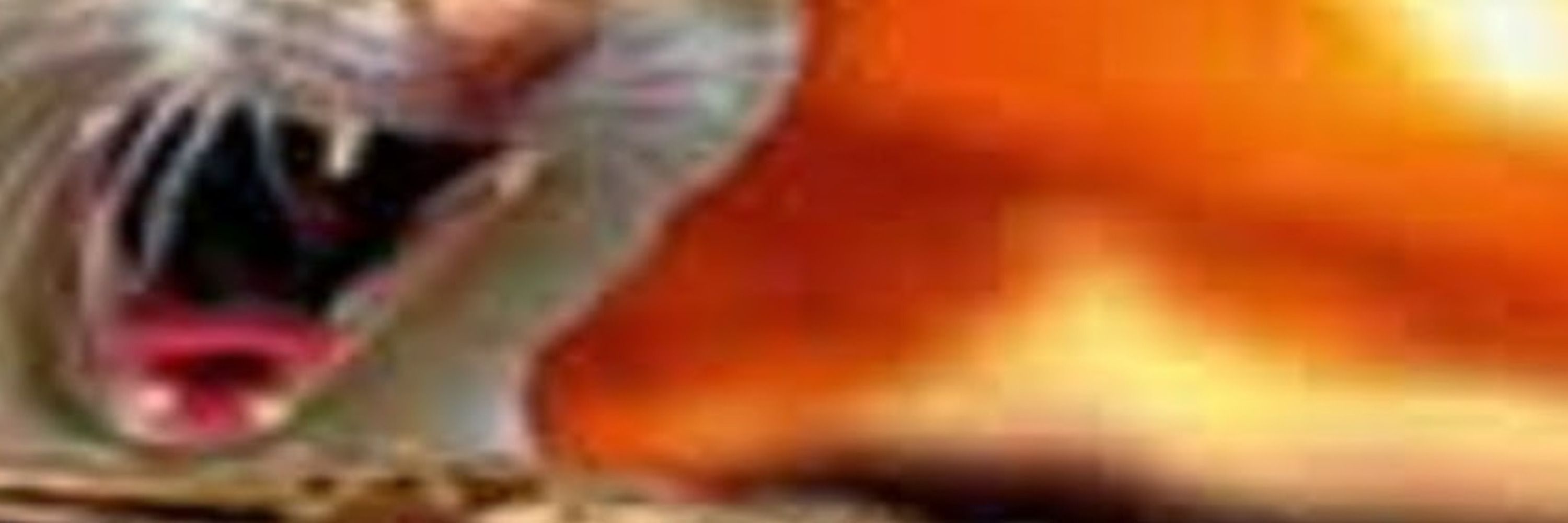 Carimboᶜᵃᵐ