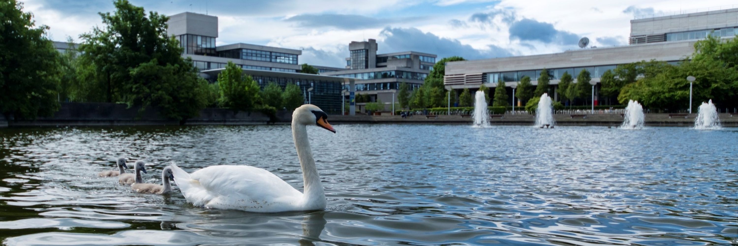 UCD Politics and International Relations