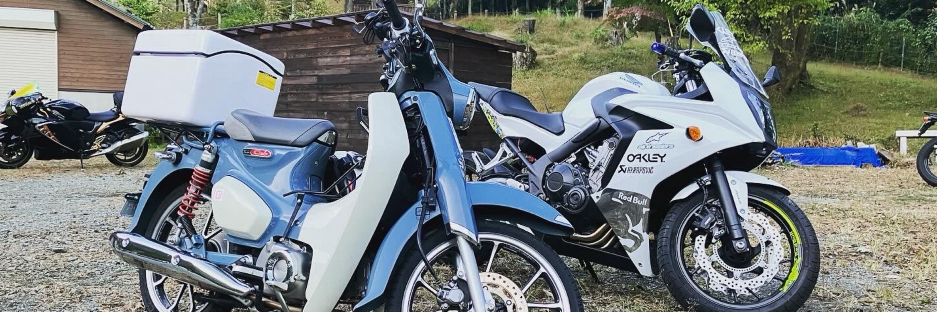 冷凍みかん🍊🎀🏍️🐑