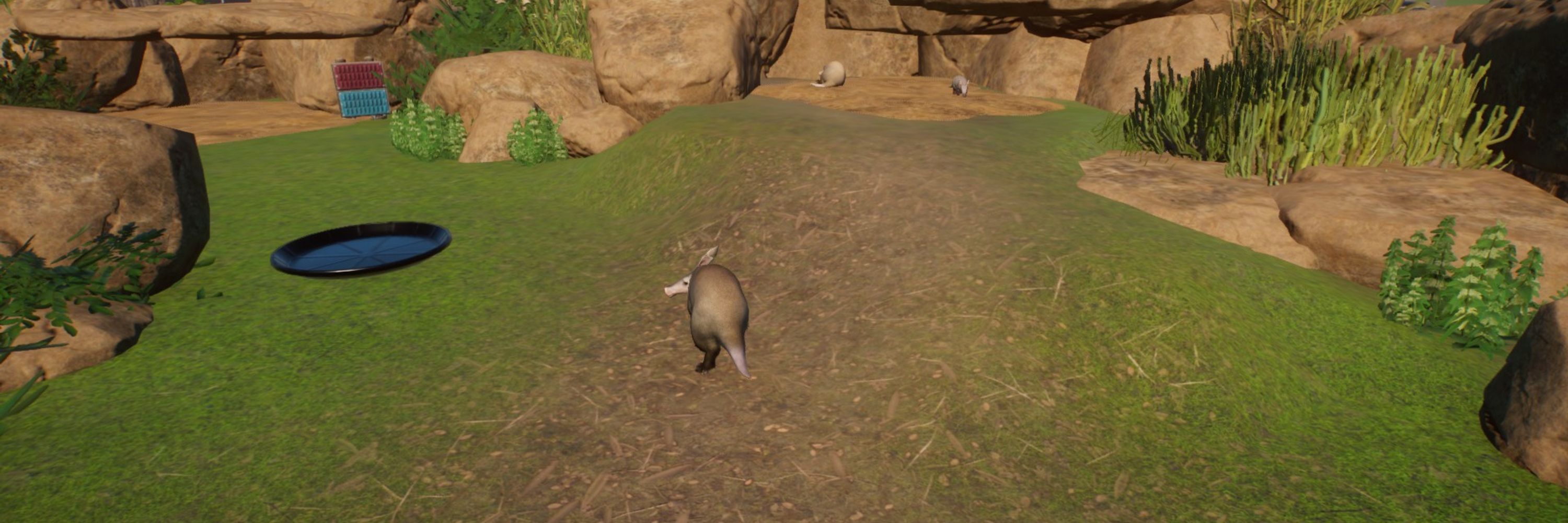 Only A Mere Aardvark