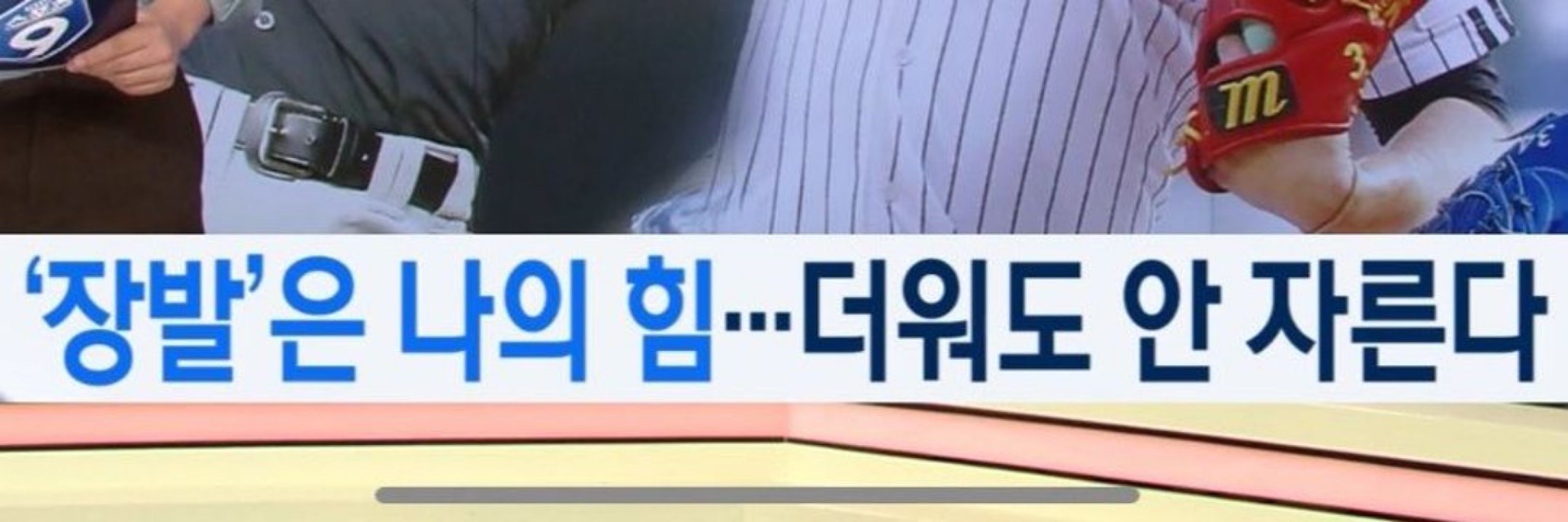 기간토사우르스 킴
