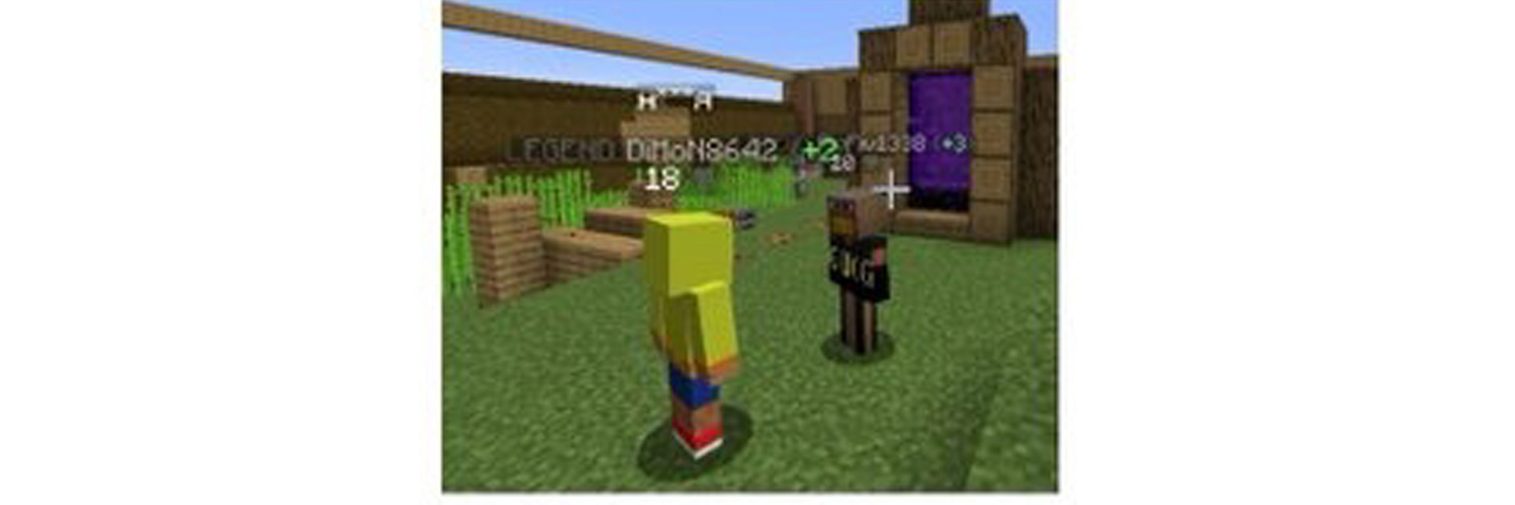 pet