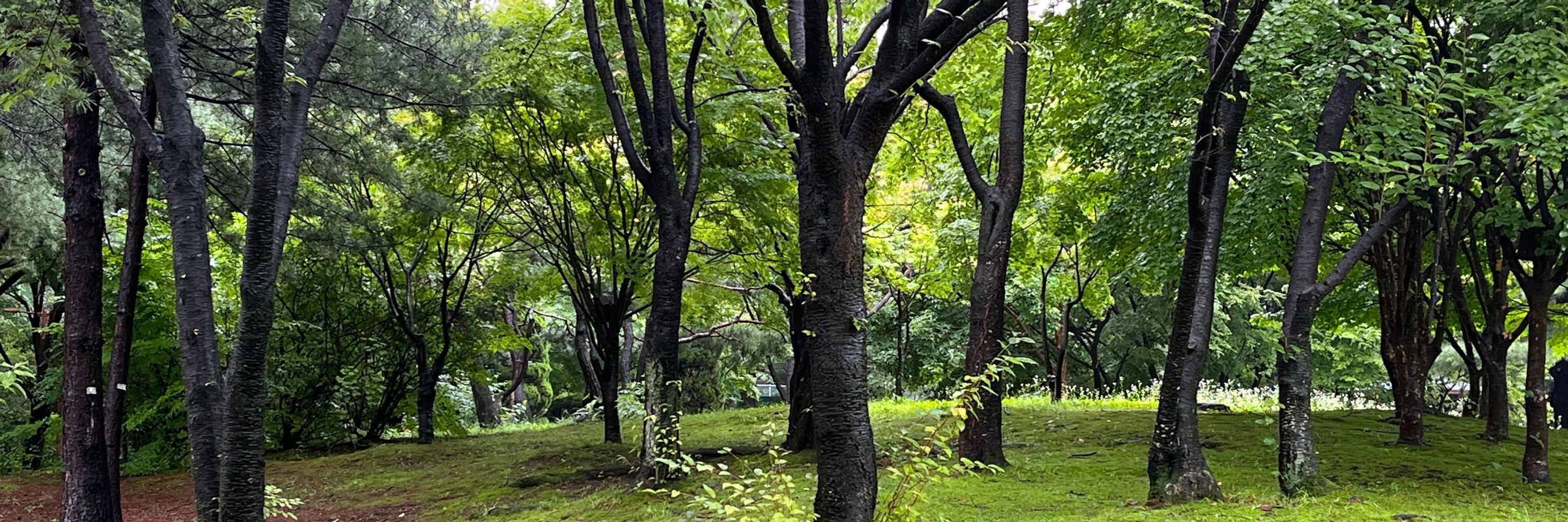 이준