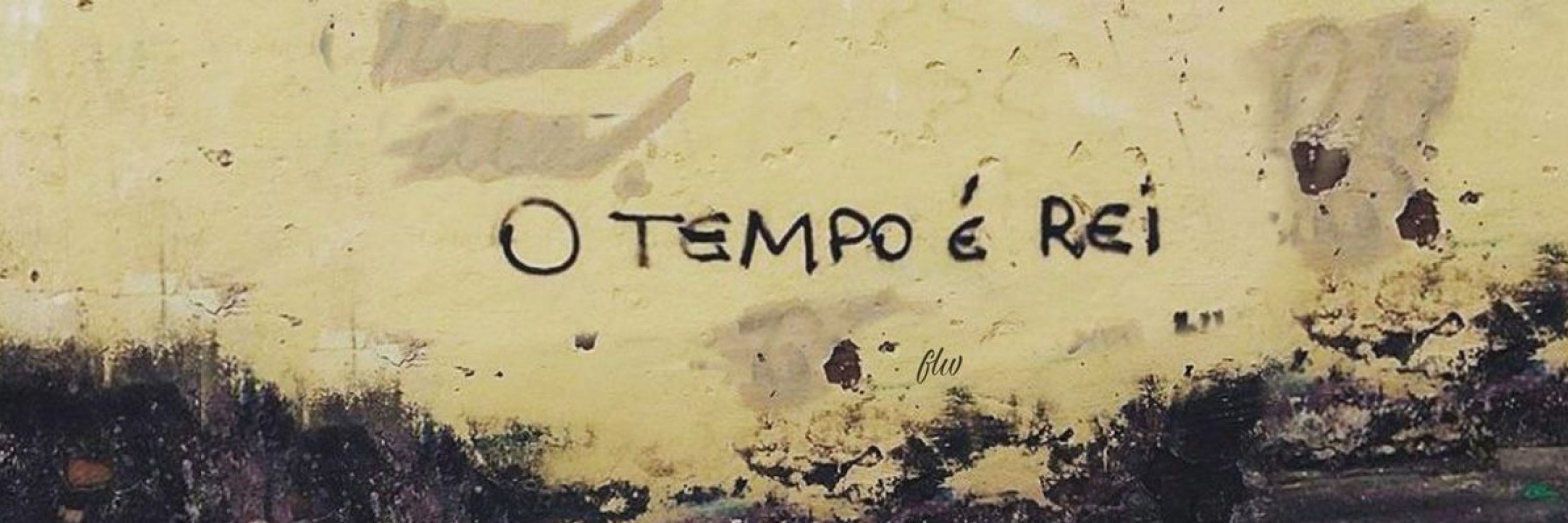 lillyy ˚.*✰