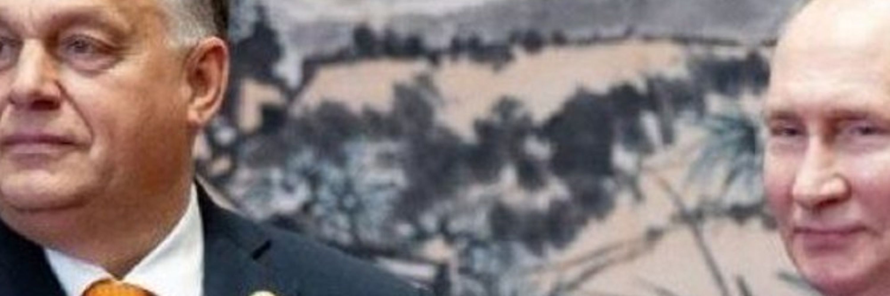 Daniel Hegedus