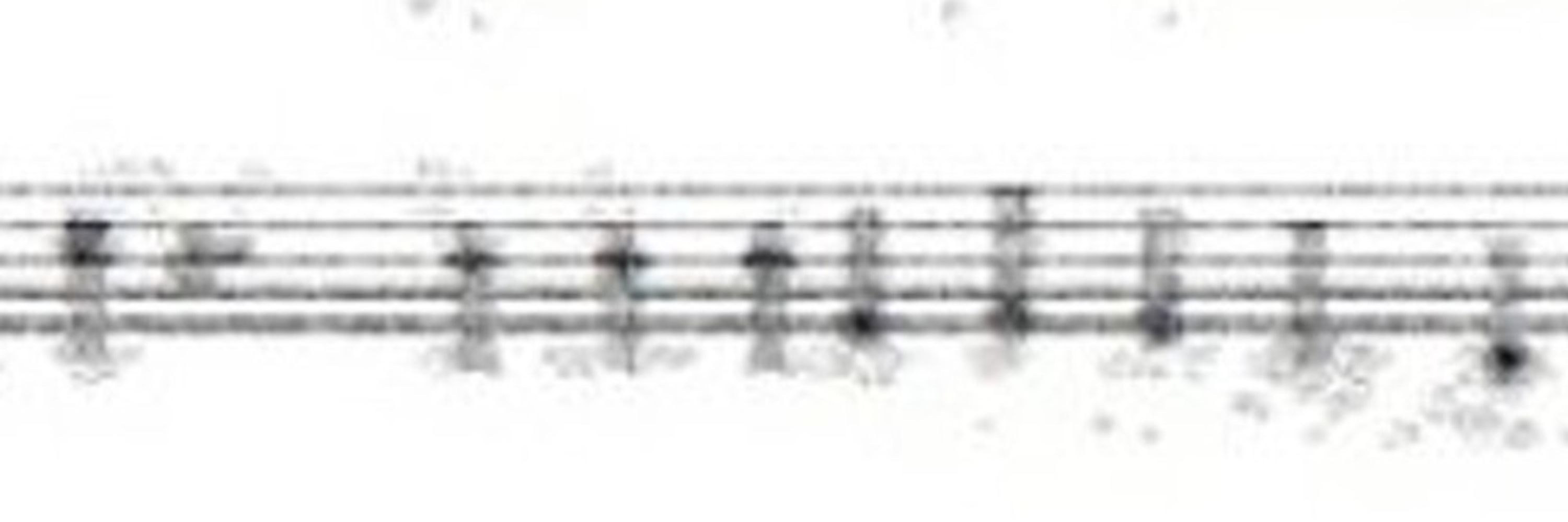 Composer Mel Fitzhugh