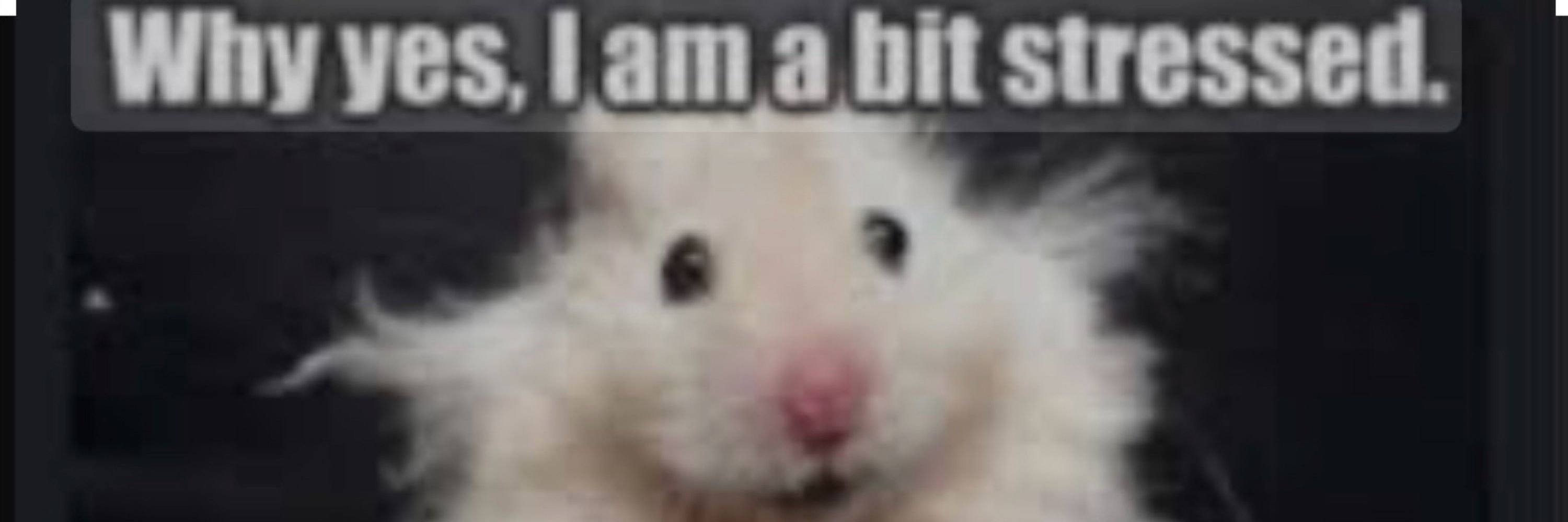 Just Kris