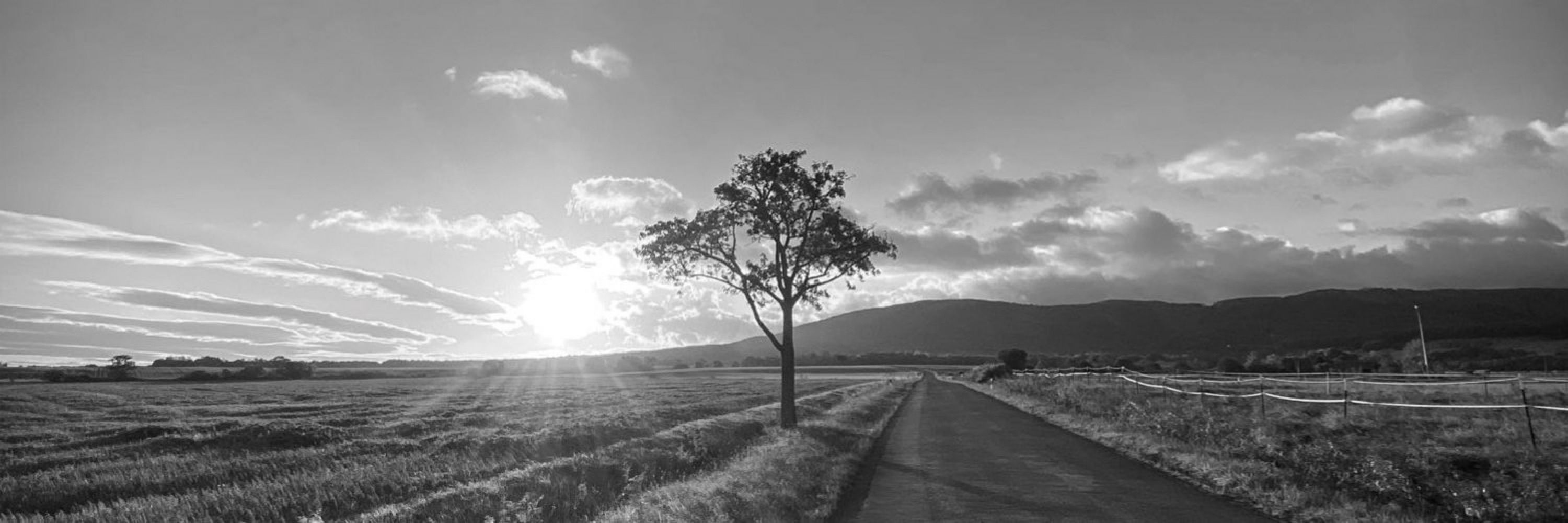 Sunstormed