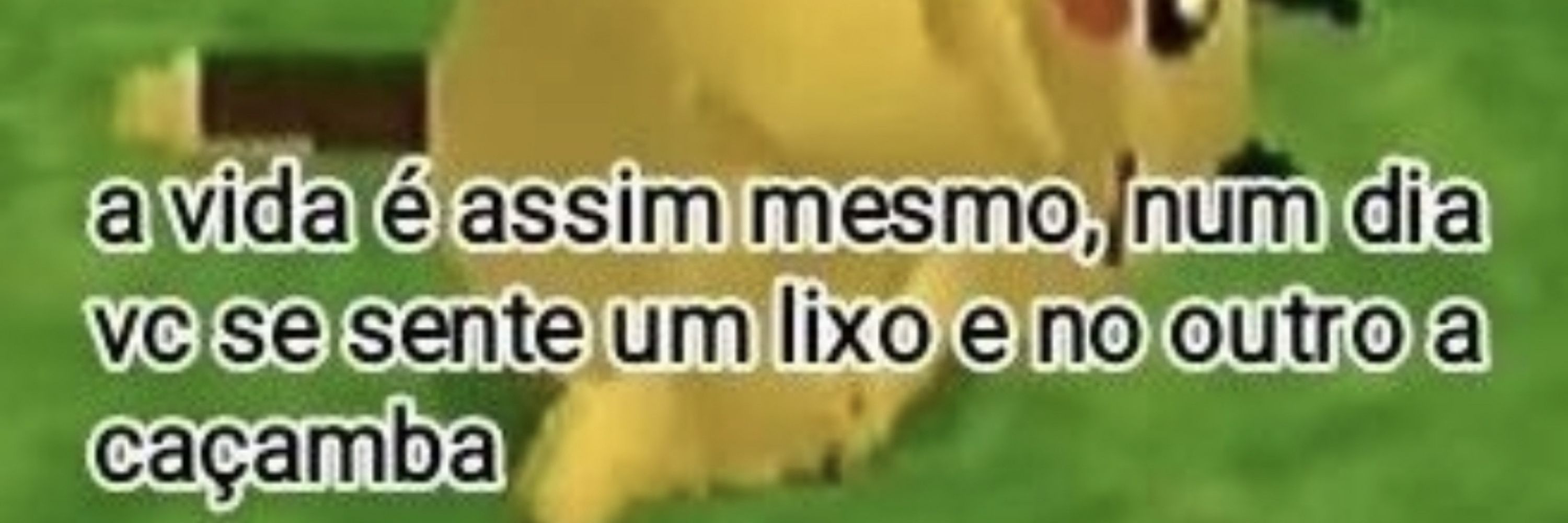 Matheus Pikachu 