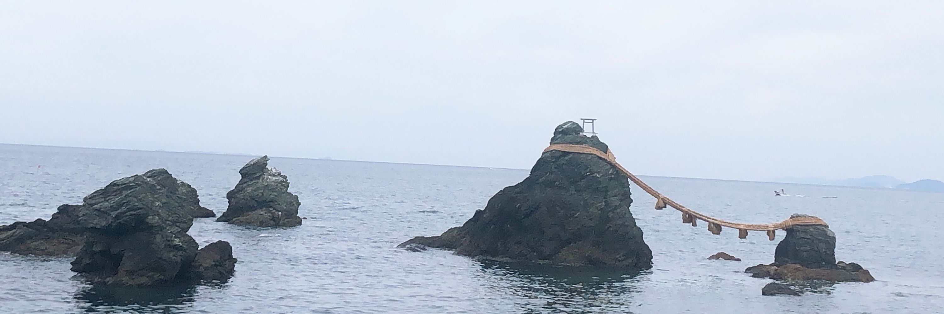 宣告者