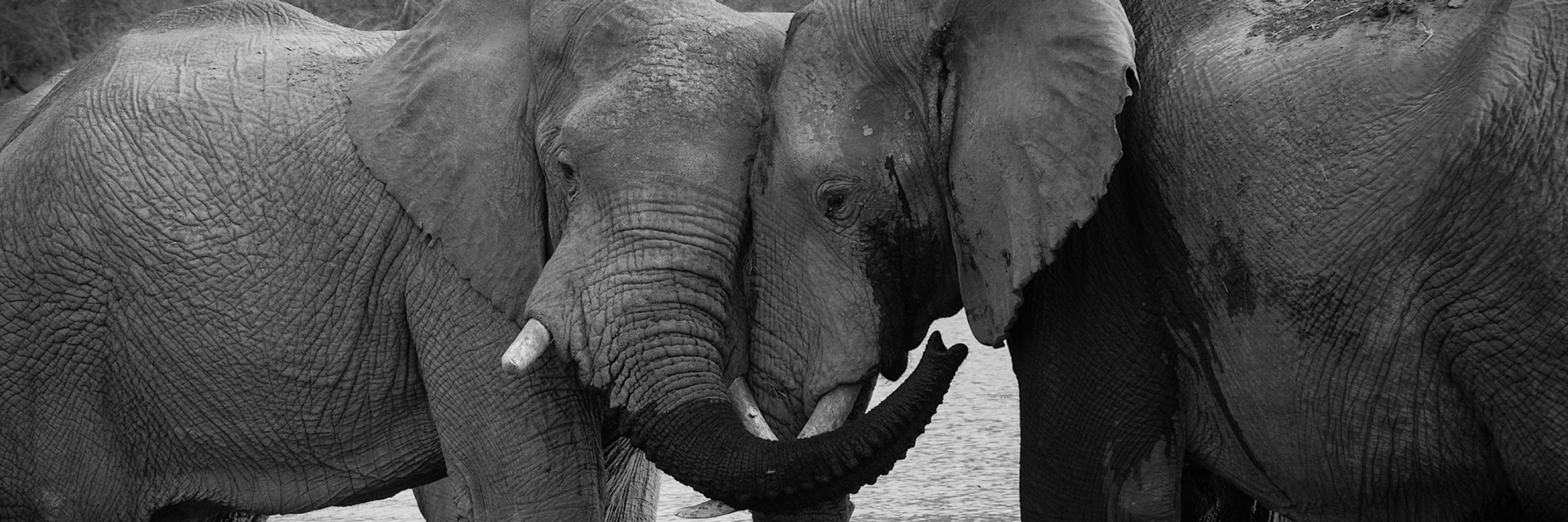 PHP Hugs