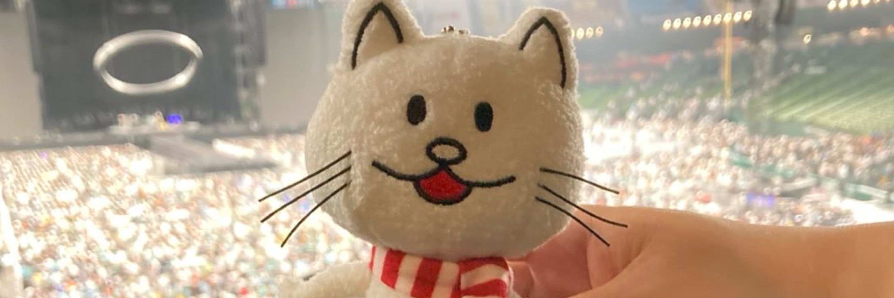 野分