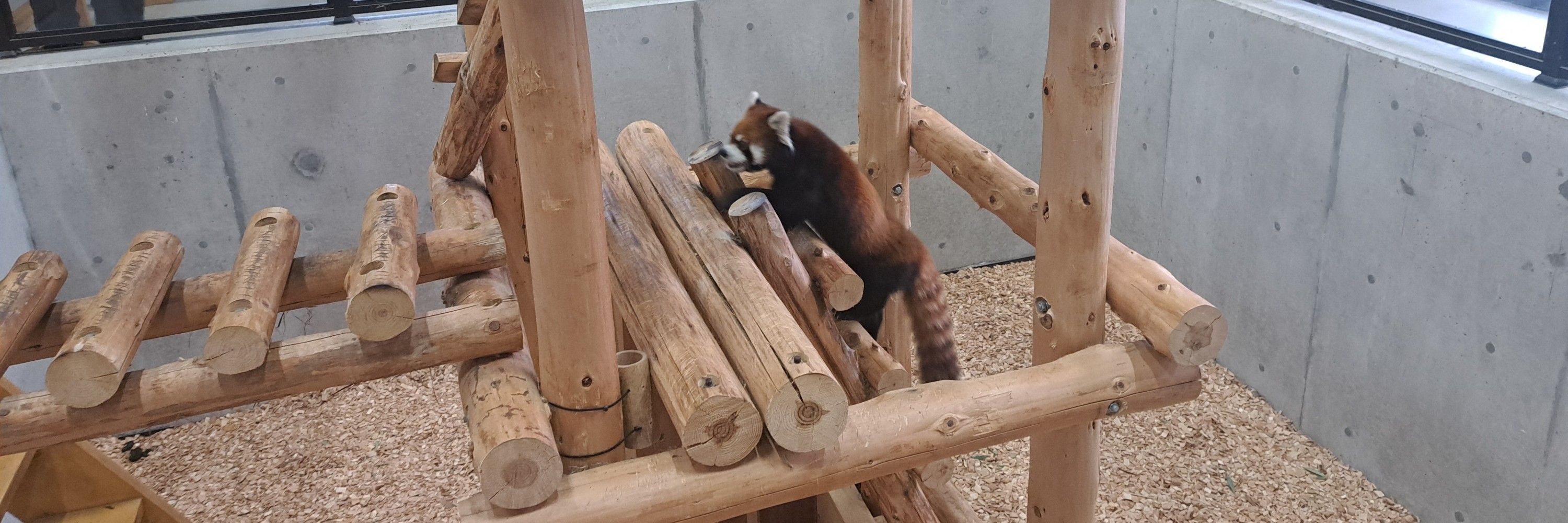 あやの