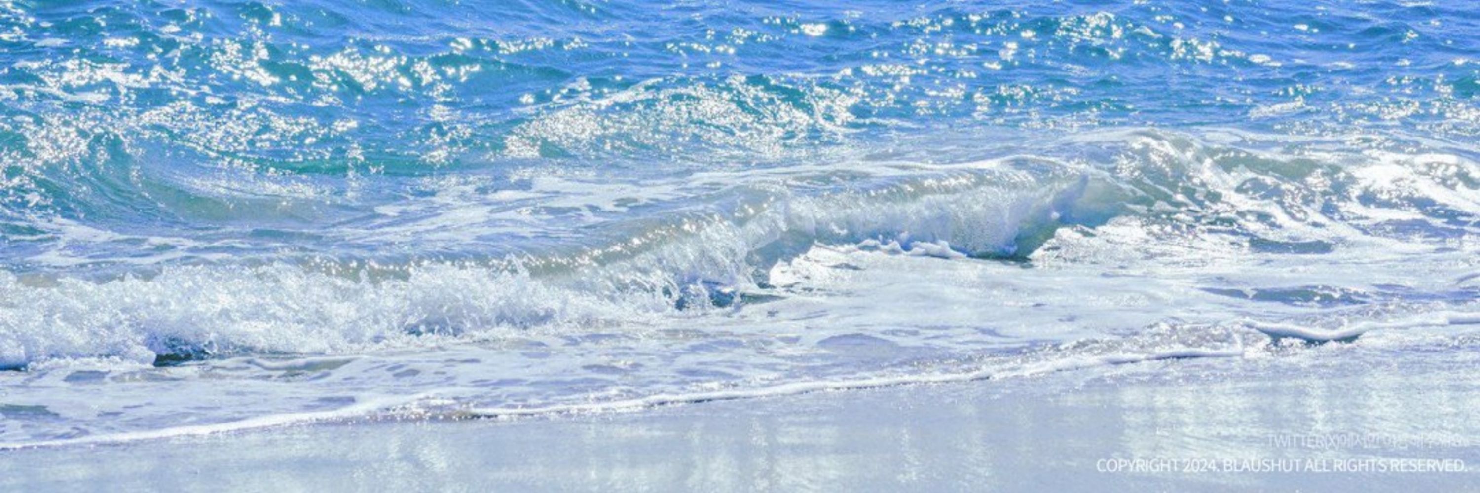 바다🌊🌊