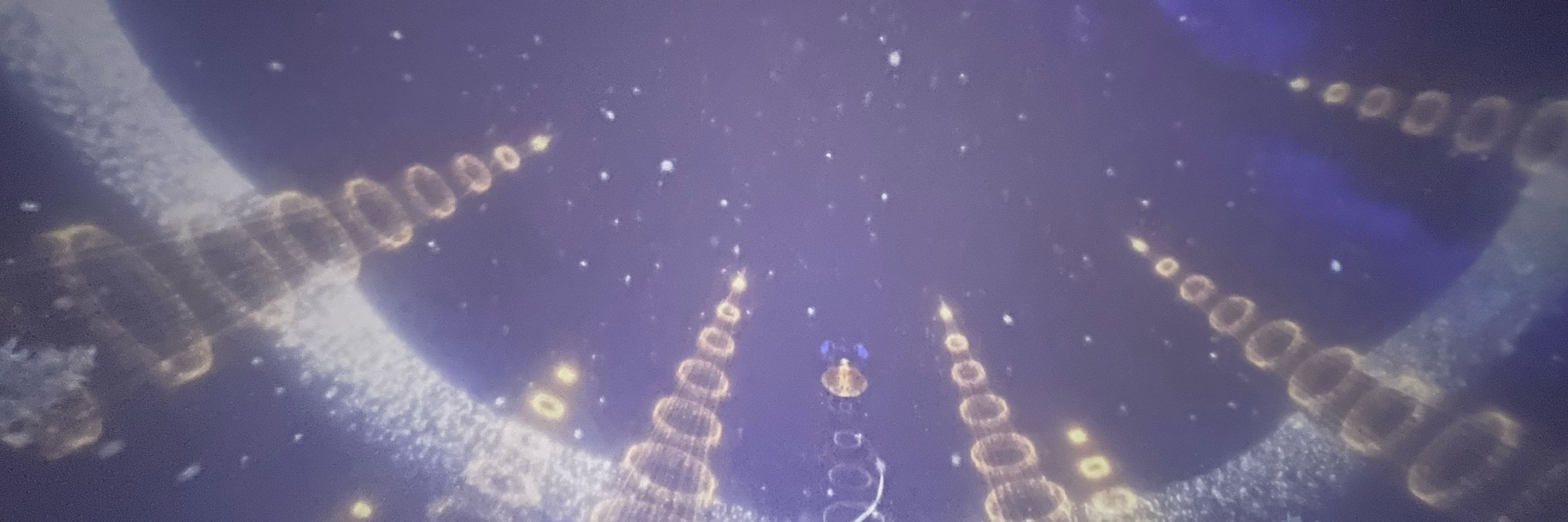 いのこー