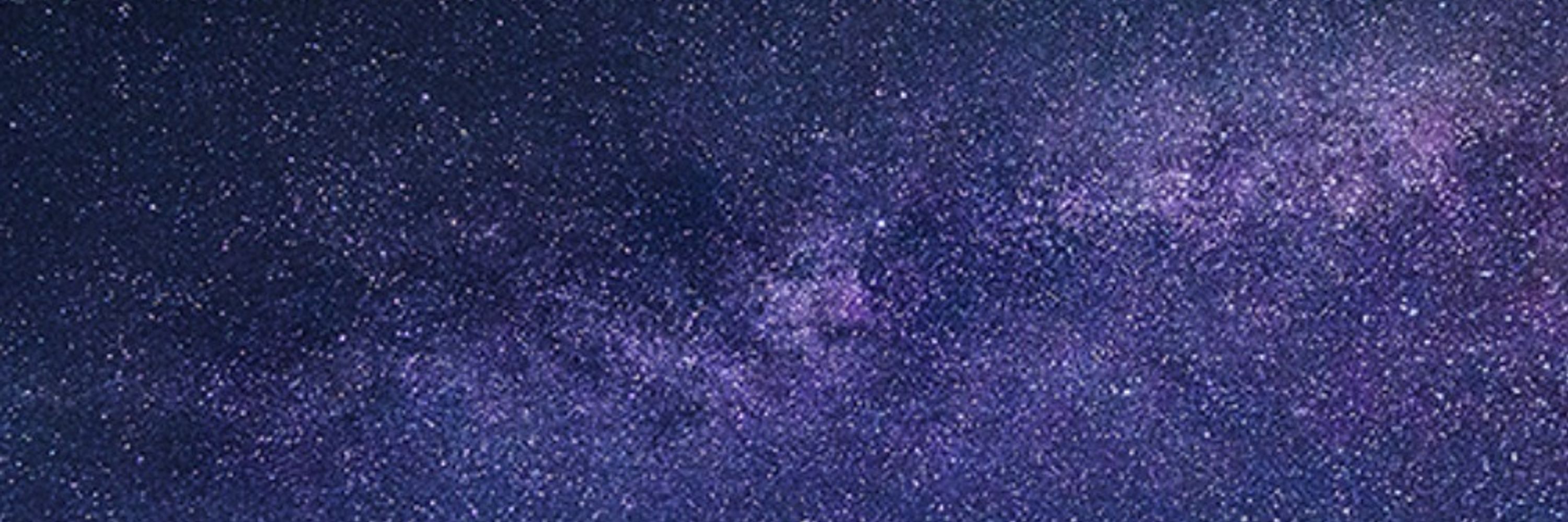 Bloom Network