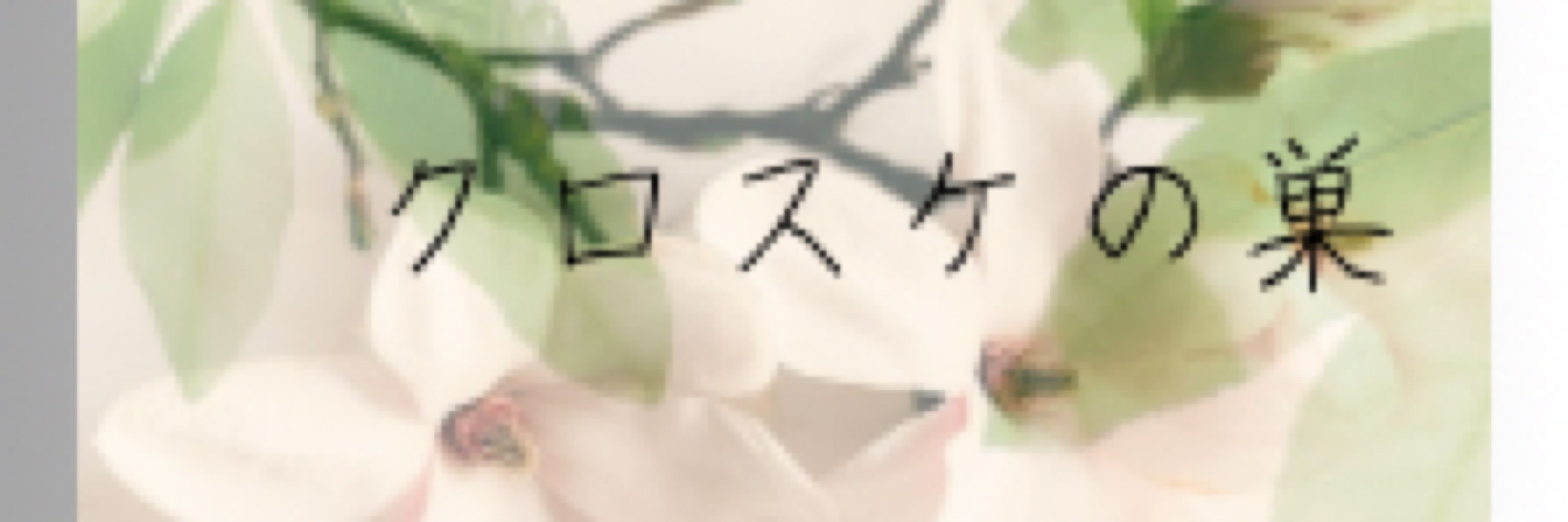 クロスケ