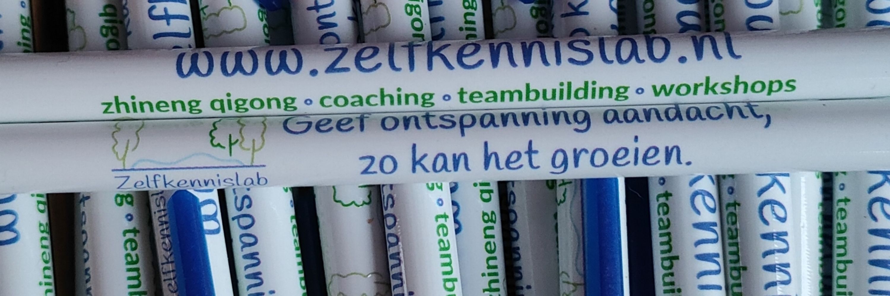 Vick Nieuwenhuis