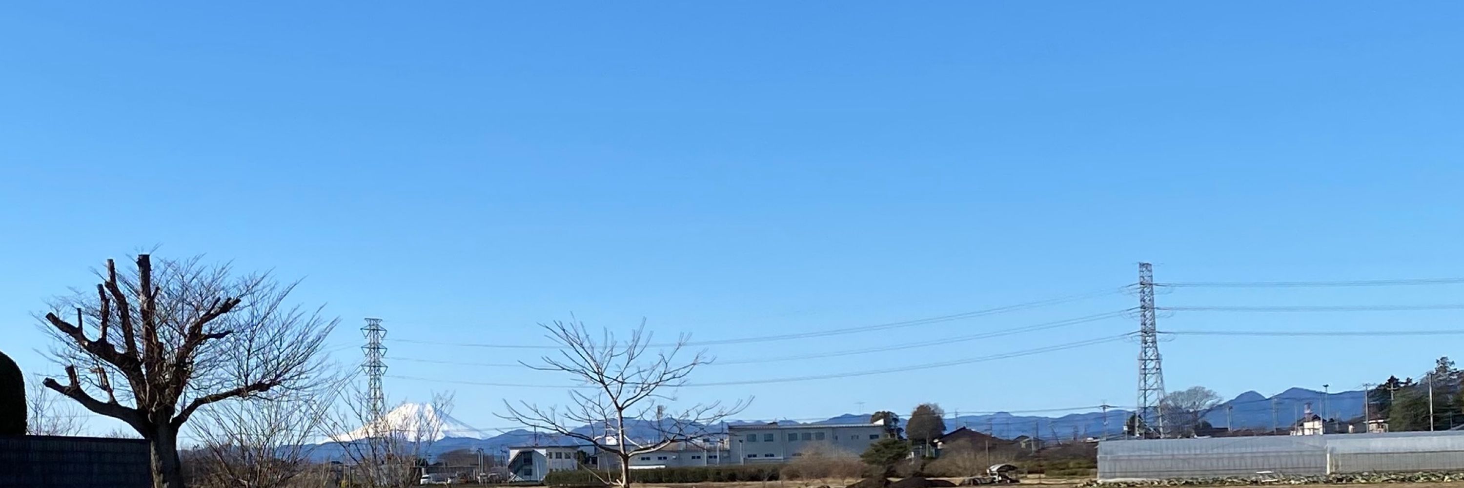 あきお。