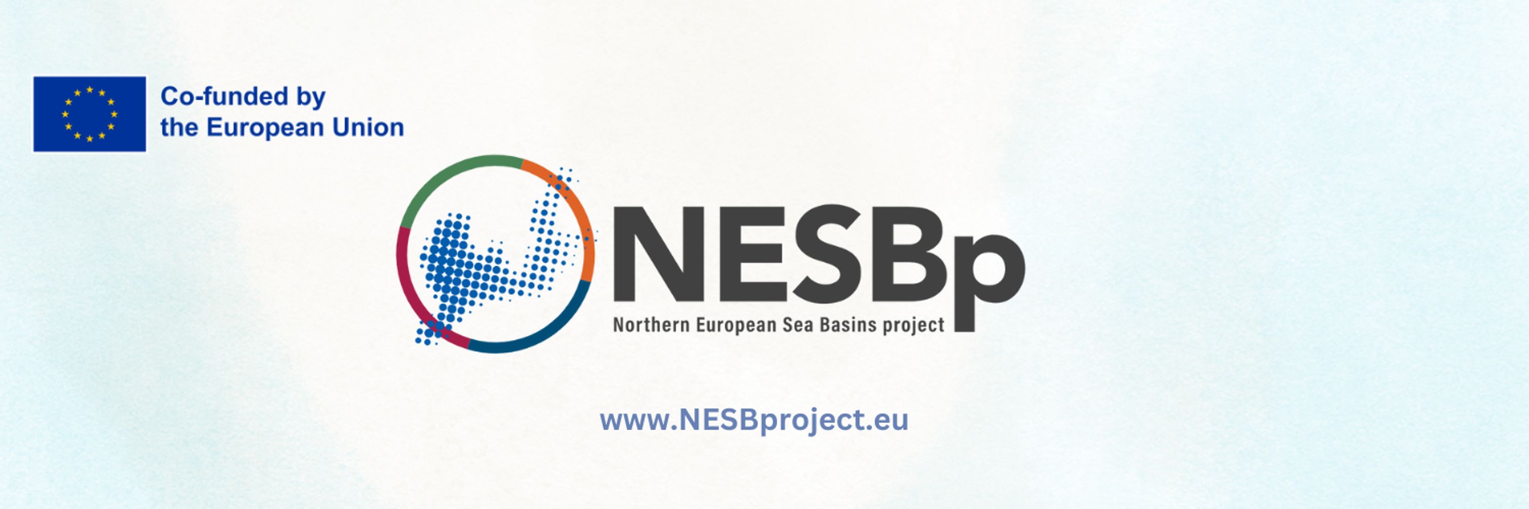 The NESB project
