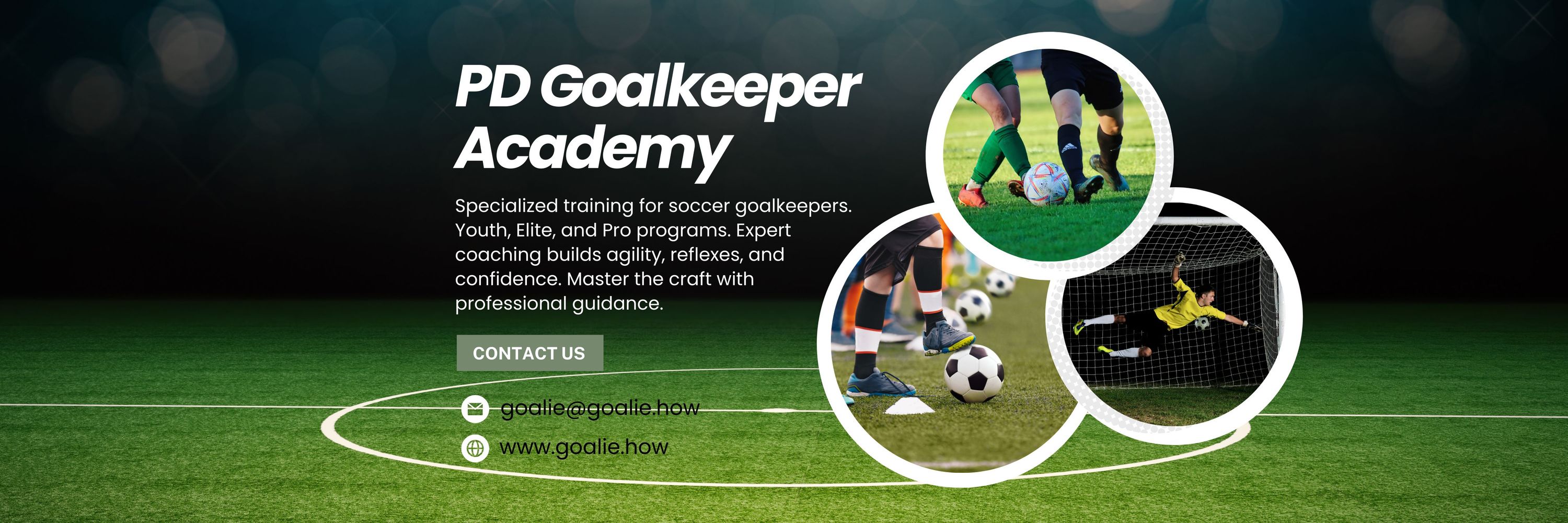 PD Goalkeeper Academy