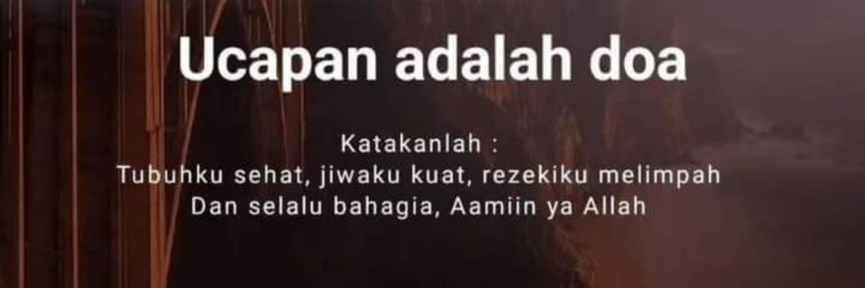 Immafa 🦋