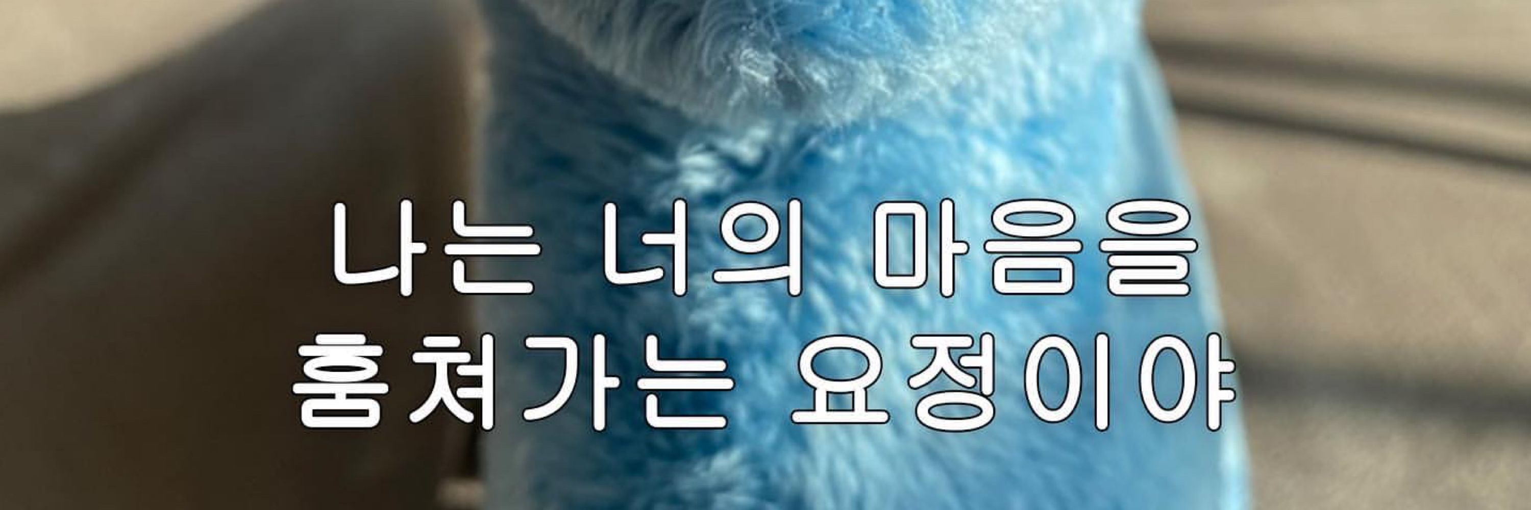 올빗39