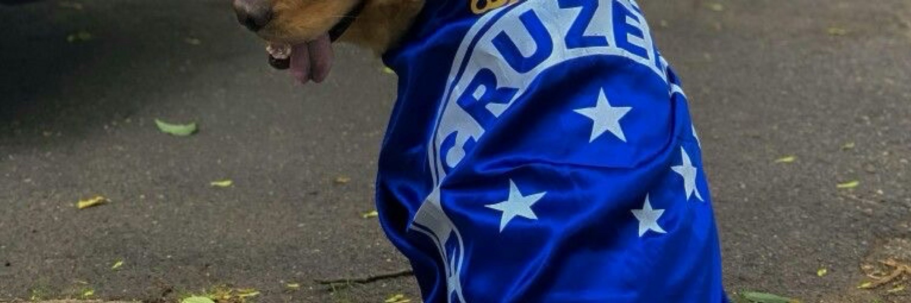 💙