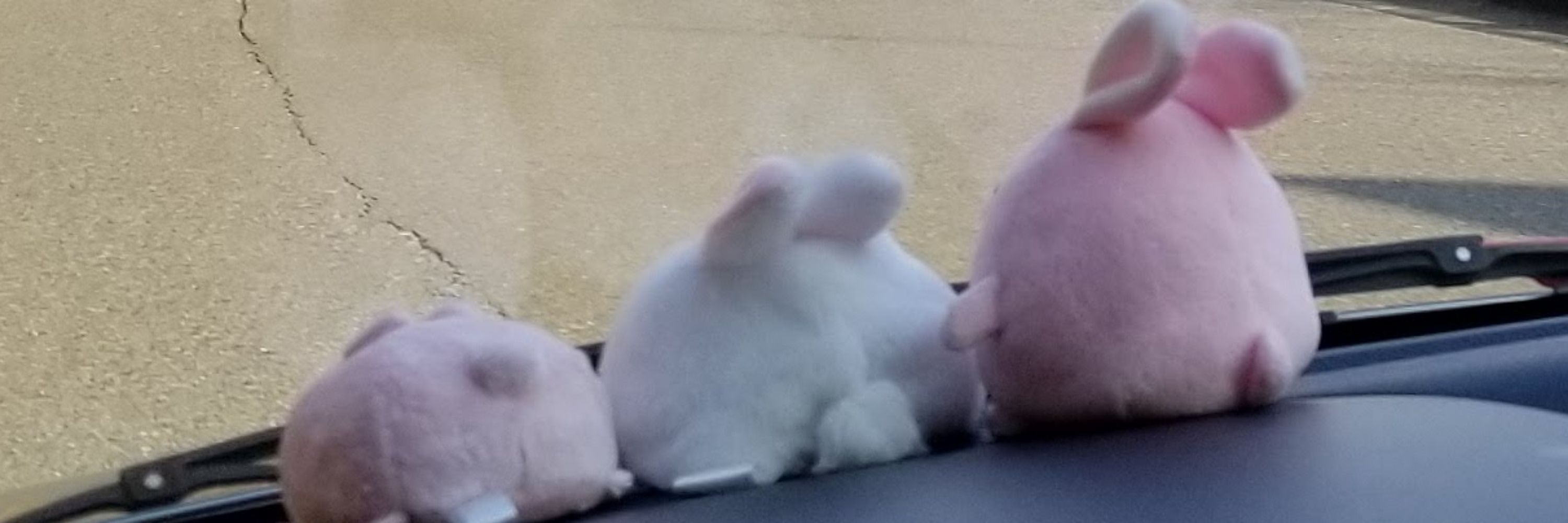 べー