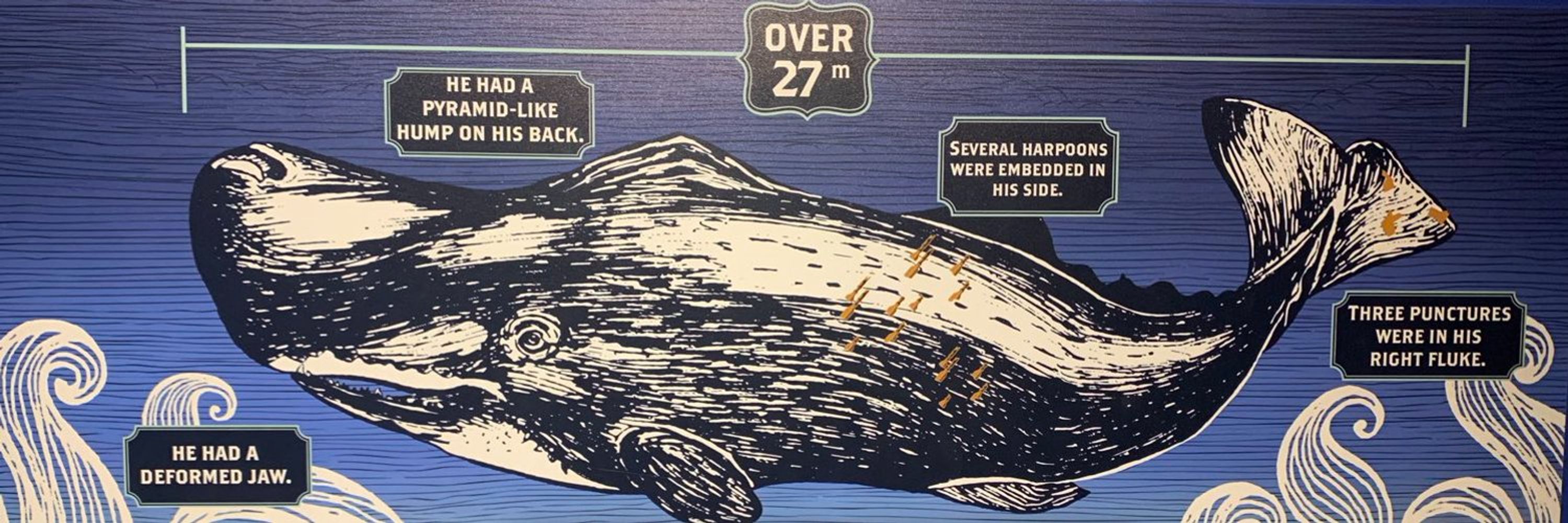 Moby Dick