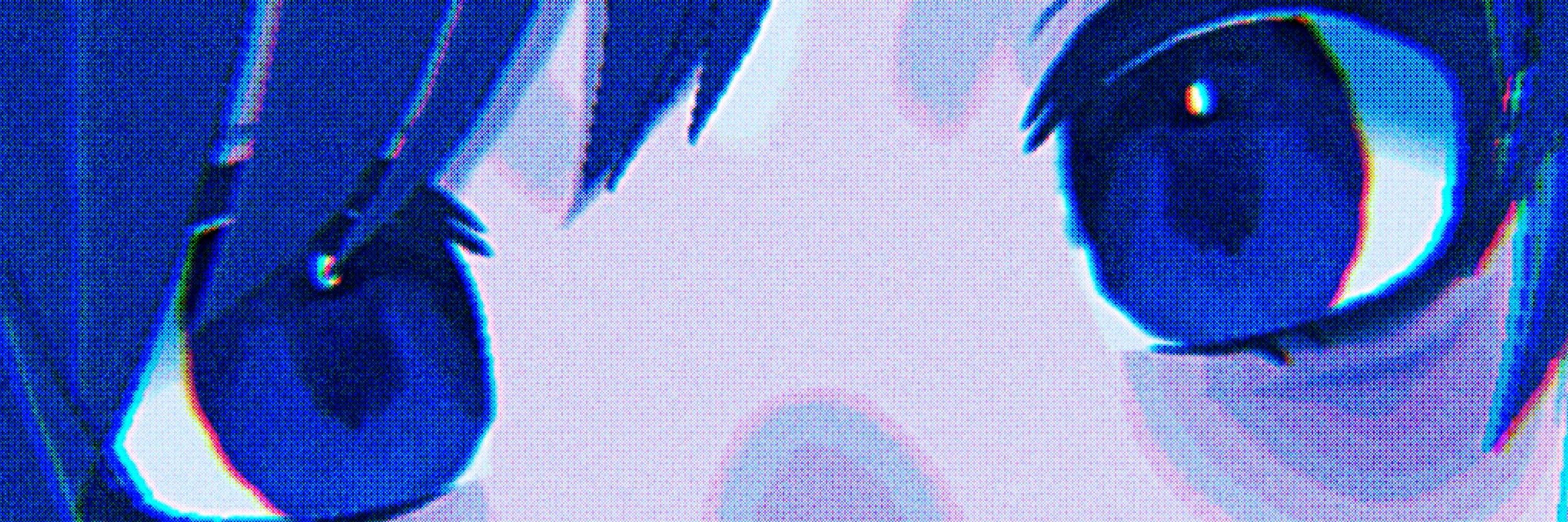 浅葱 菰 /あさぎ こも