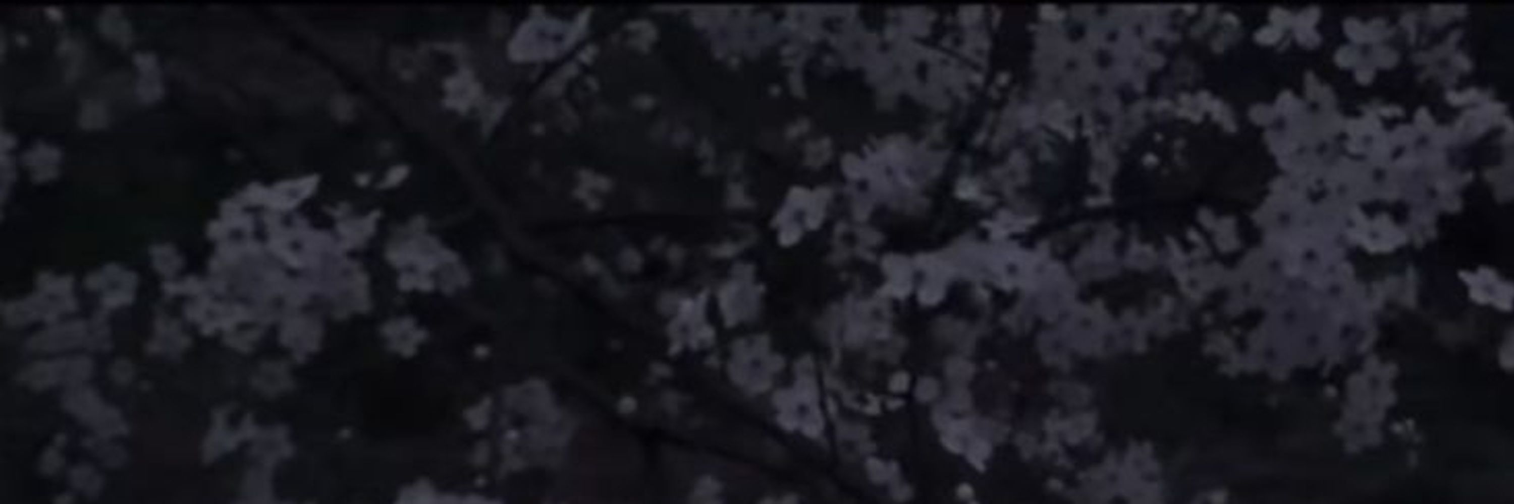 Sen Tsukimi