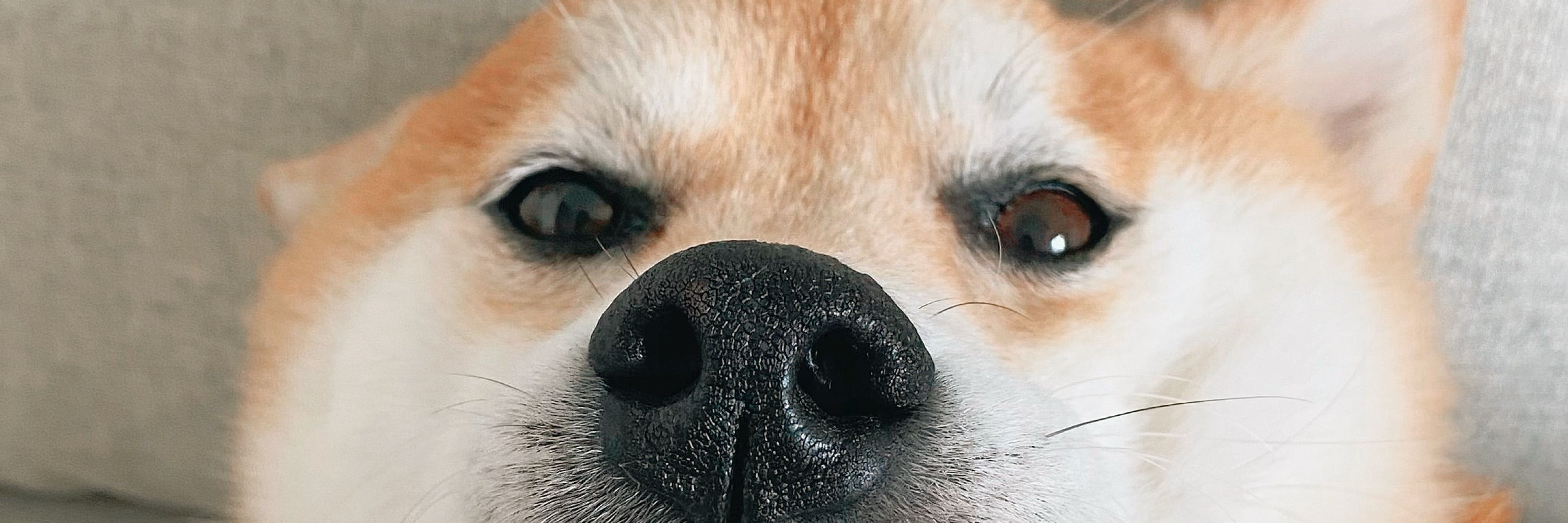 Ena