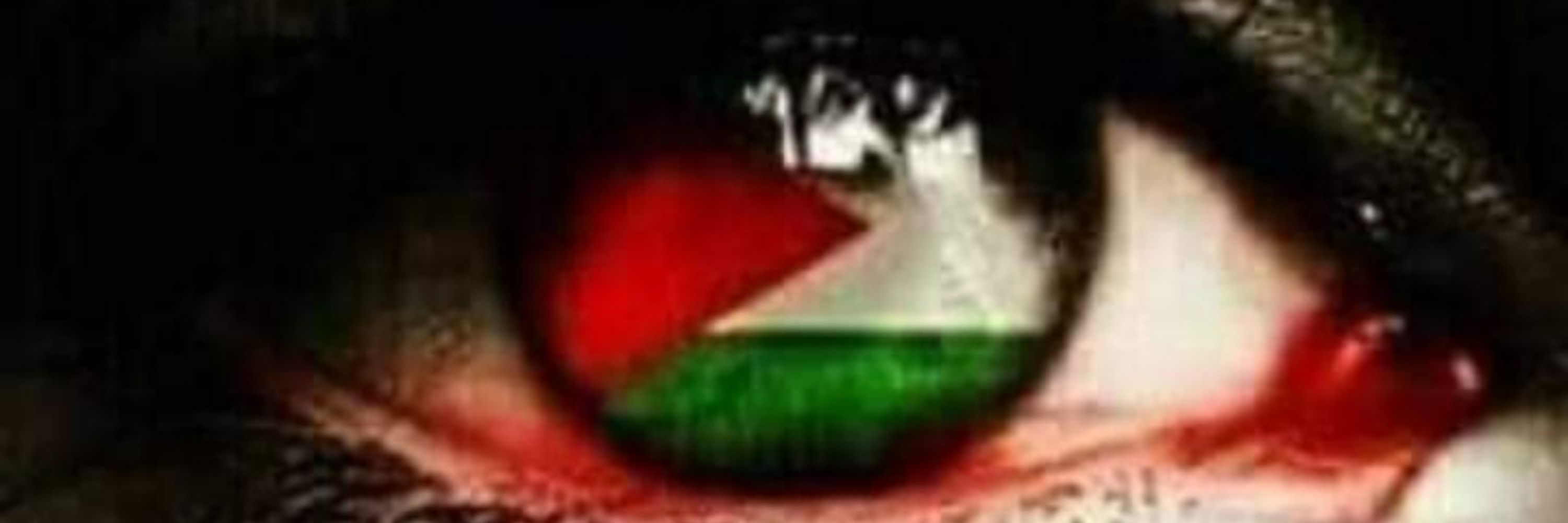 Mahmoud 🇵🇸