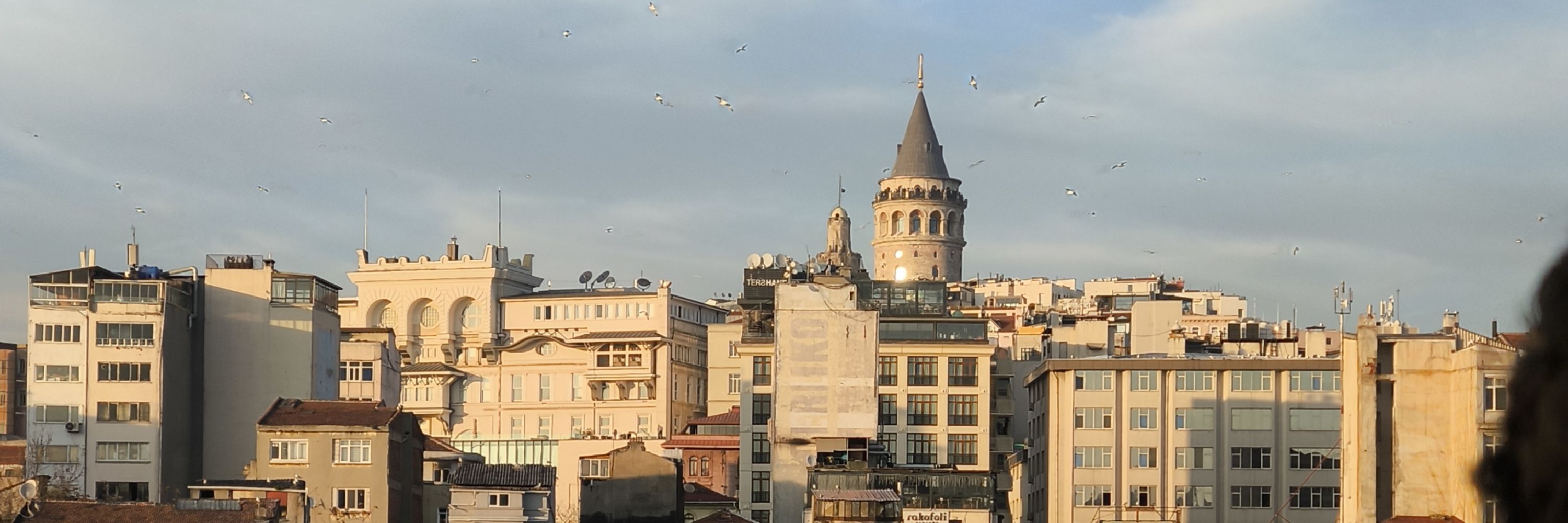 Yusuf kvr