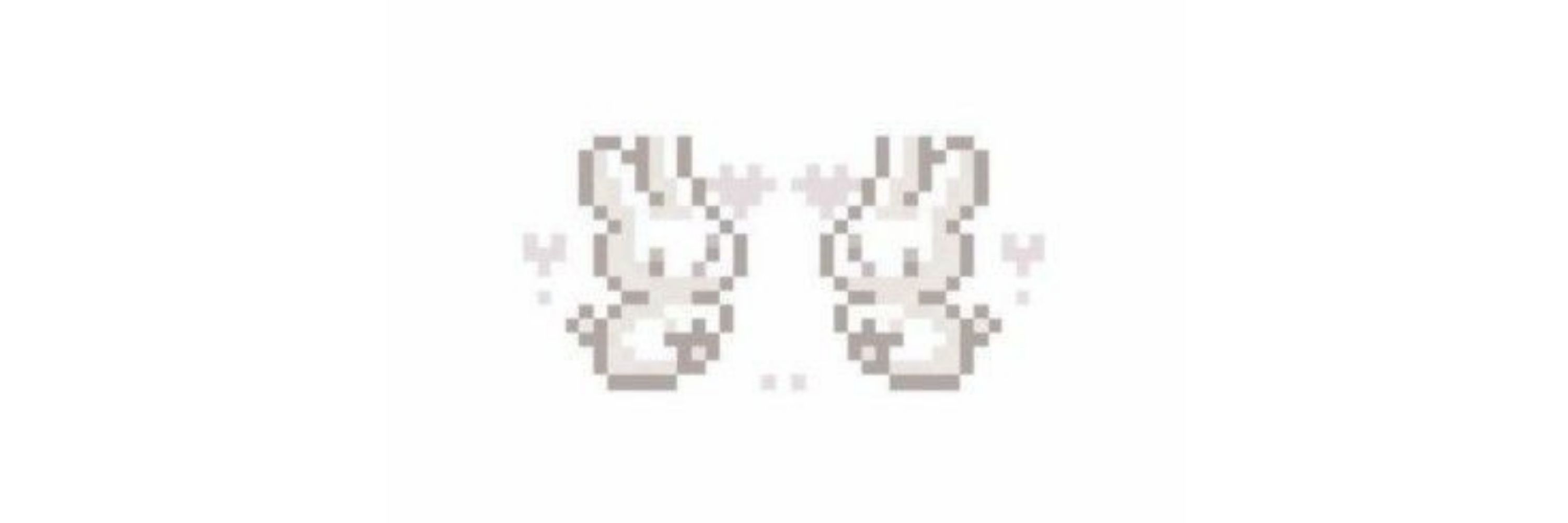 𝘉ꓴ𝖭𝖭𝝪 🐰