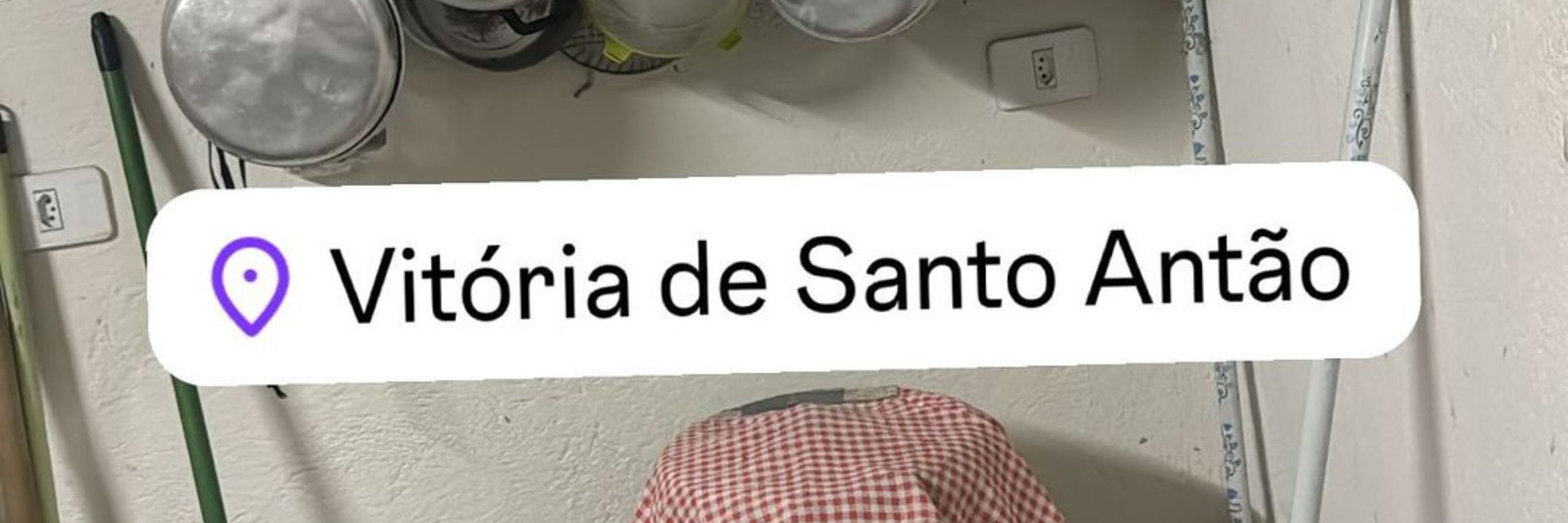 they/she estar