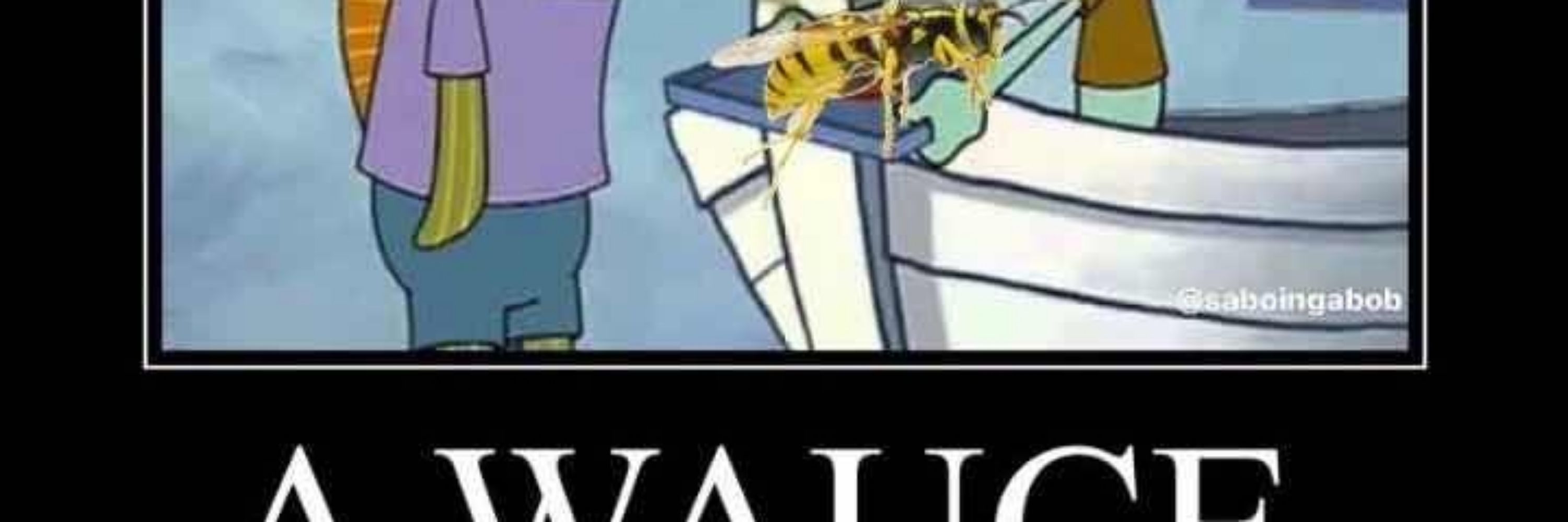 SkeleSpider