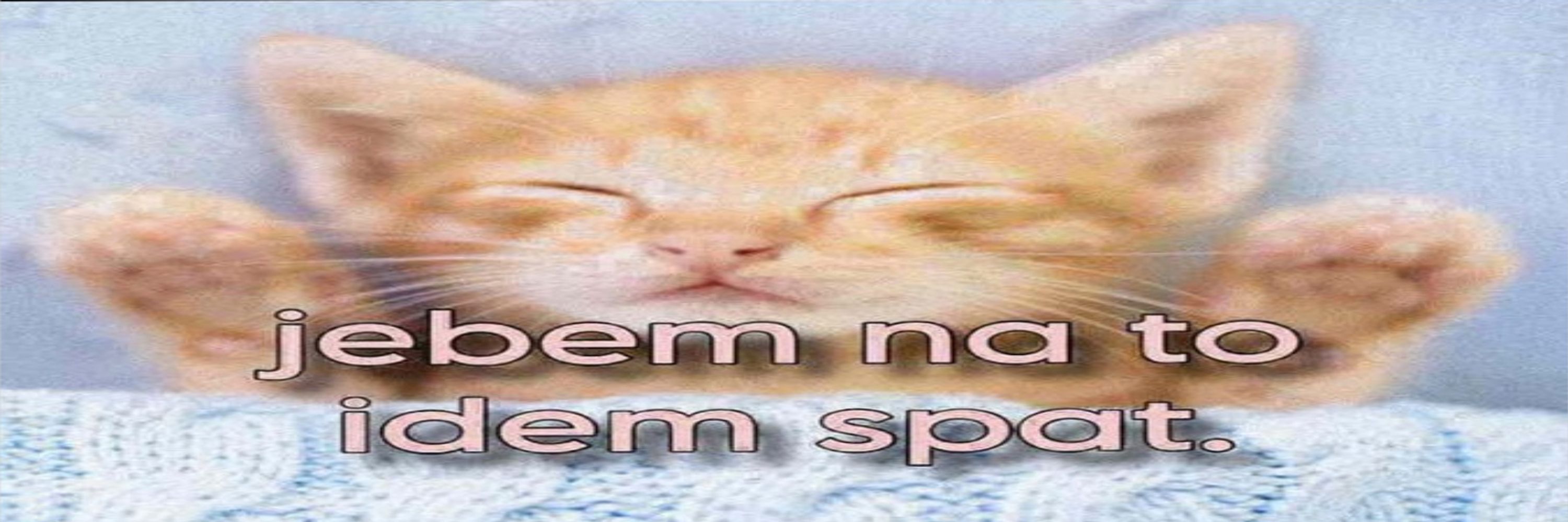 ⋆✴︎˚｡⋆